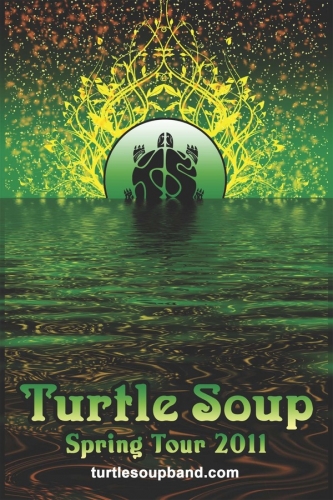 turtle2