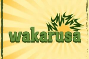 Wakarusa announces lineup