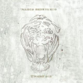 Marco Benevento - TigerFace