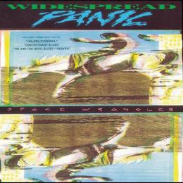 Widespread Panic - Space Wrangler (Vinyl 2LP)