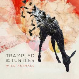 Trampled By Turtles - Wild Animals CD