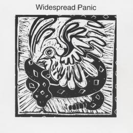 Widespread Panic - Widespread Panic (Vinyl LP)